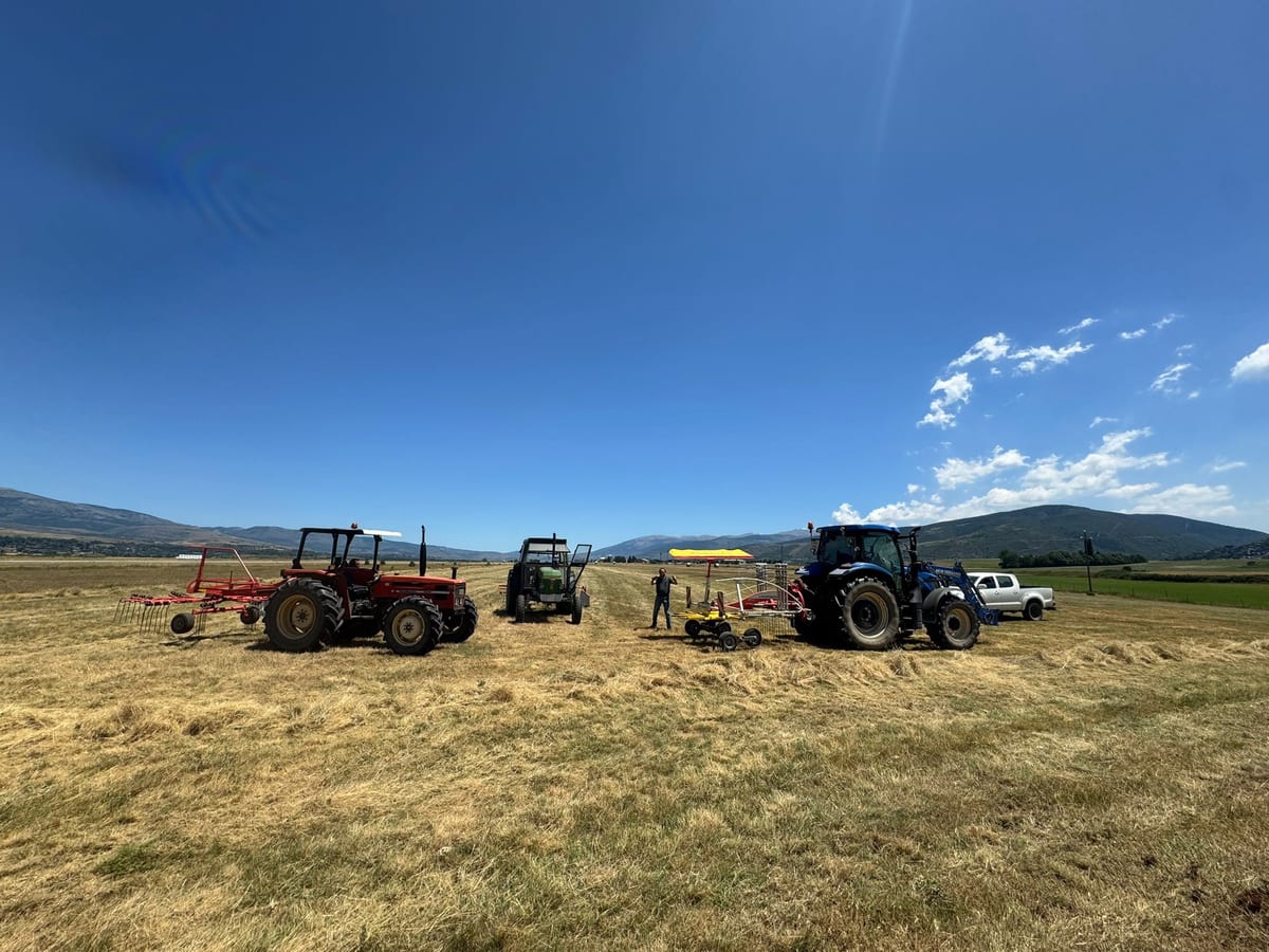 Camps de dall amb tractors i les muntanyes de la Cerdanya al fons